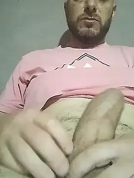danmep8387