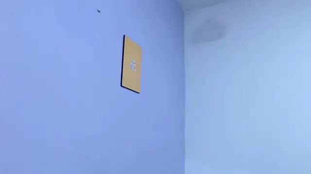 onixandghosty1