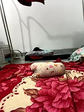 pitty_mymi